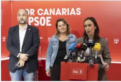 Captura de pantalla 2026-02-19 131341