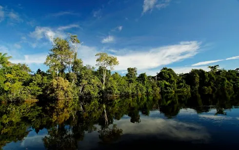 Captura desde 2025-12-18 23-53-51