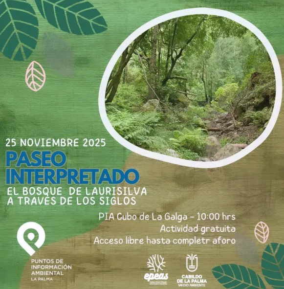 PASEO SAN ANDRES Captura de pantalla 2025-11-20 105301