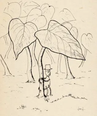 anancy-spider