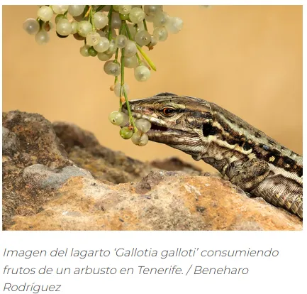 Captura de pantalla 2025-11-11 084856