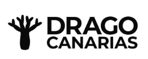 drago canarias