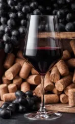 Captura de pantalla 2025-12-18 104616