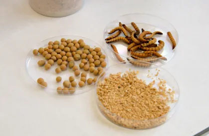 Captura de pantalla 2026-01-22 091139