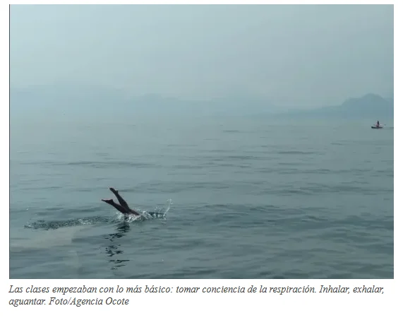 Captura