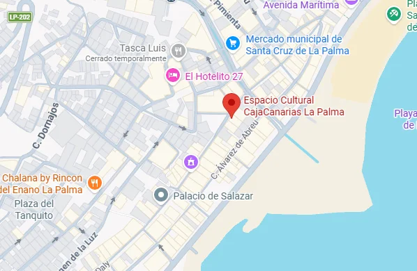 Captura de pantalla 2026-04-06 114404