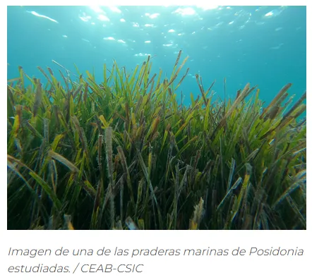 Captura de pantalla 2025-11-11 092740