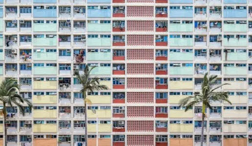 pexels-apasaric-2443590