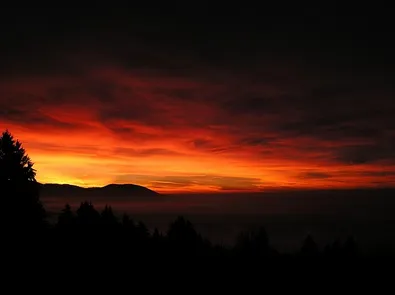 Captura desde 2025-11-19 22-13-24