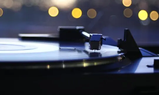 pexels-bclarkphoto-1135995 (1)