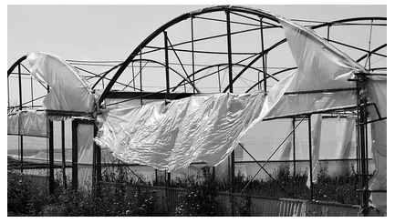 Captura desde 2025-12-14 21-51-13