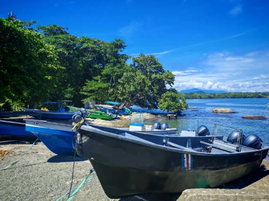 Captura de pantalla 2026-09-22 081835