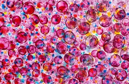 Captura de pantalla 2025-11-25 091801