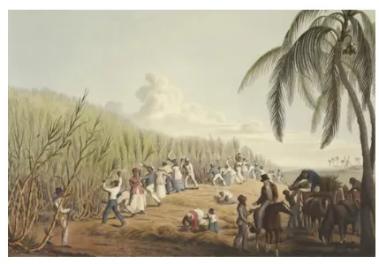 Captura de pantalla 2026-01-16 110529