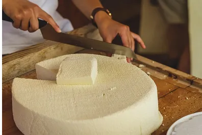 Captura desde 2025-11-17 22-54-48