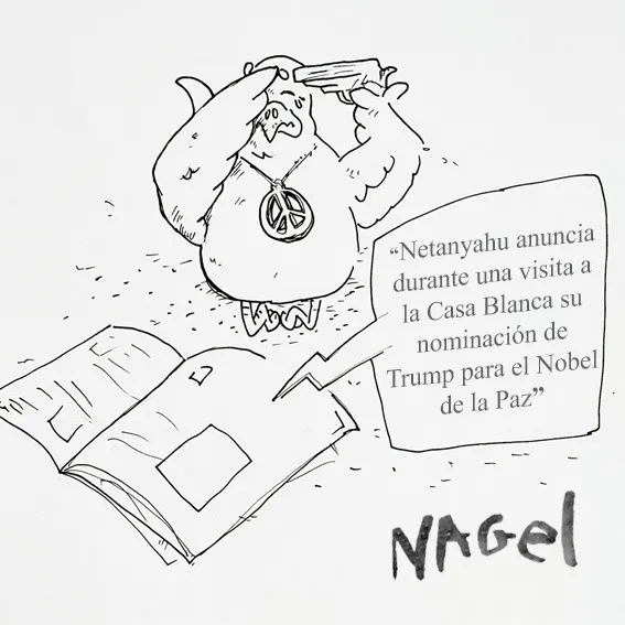 Prueba_Nagel_002