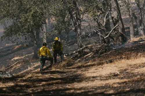 20250912_Incedios_02