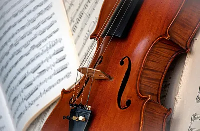 Captura desde 2025-11-24 21-11-58