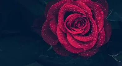 Captura desde 2025-12-15 21-53-48