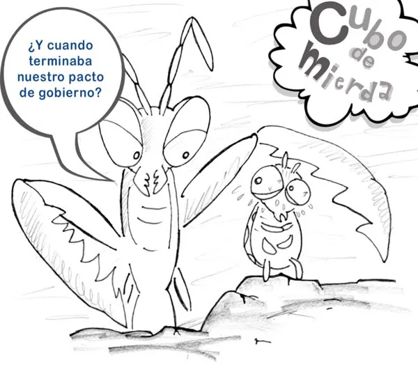 WhatsApp Image 2025-10-02 at 18.04.13