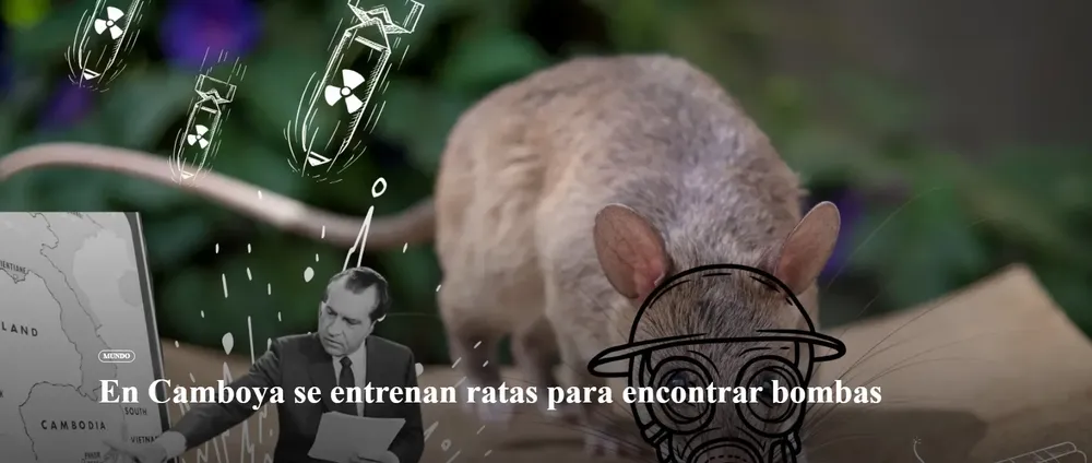 Captura de pantalla 2026-01-29 090628