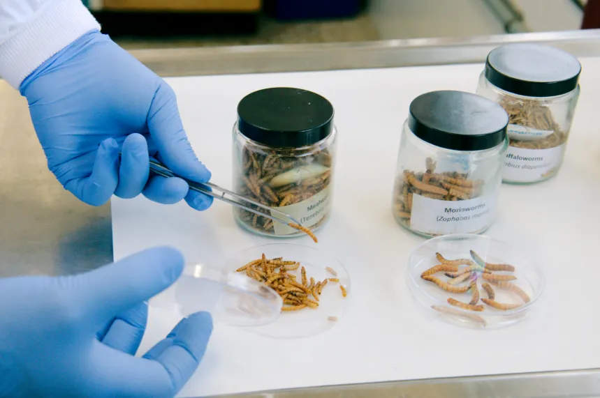 Captura de pantalla 2026-01-22 091232