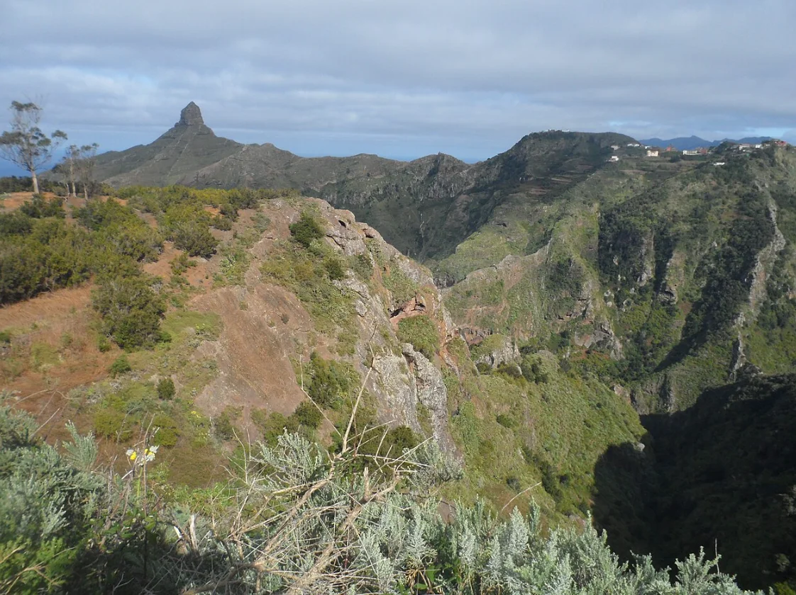 Captura de pantalla 2026-04-09 131135