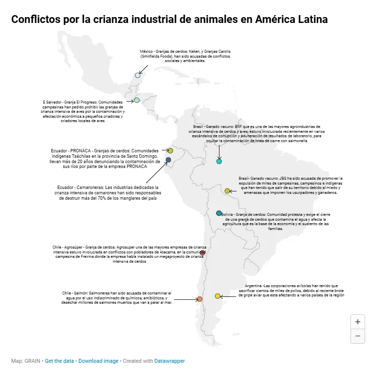Captura de pantalla 2026-01-20 115240