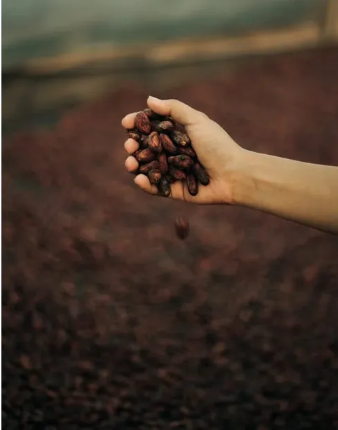 Captura desde 2025-12-20 20-54-56