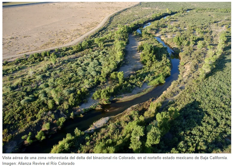 Captura de pantalla 2026-03-12 130920