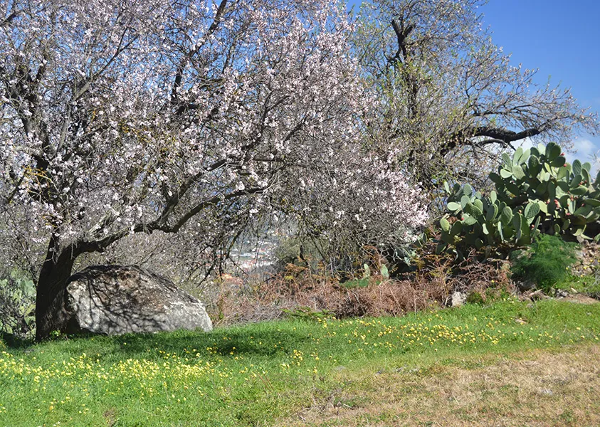 20251119_Valsequillo