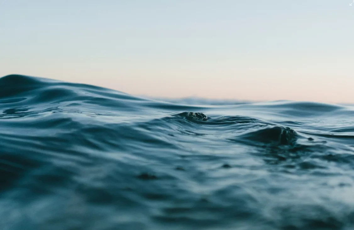 Captura de pantalla 2026-04-10 125541