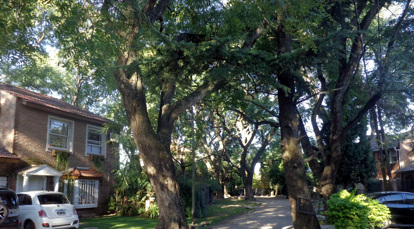 Captura de pantalla 2026-01-21 115538