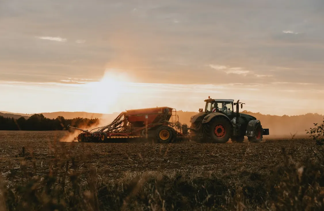 Captura desde 2026-02-01 20-13-45