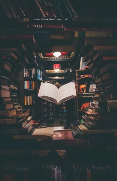 Captura de pantalla 2026-01-23 123210