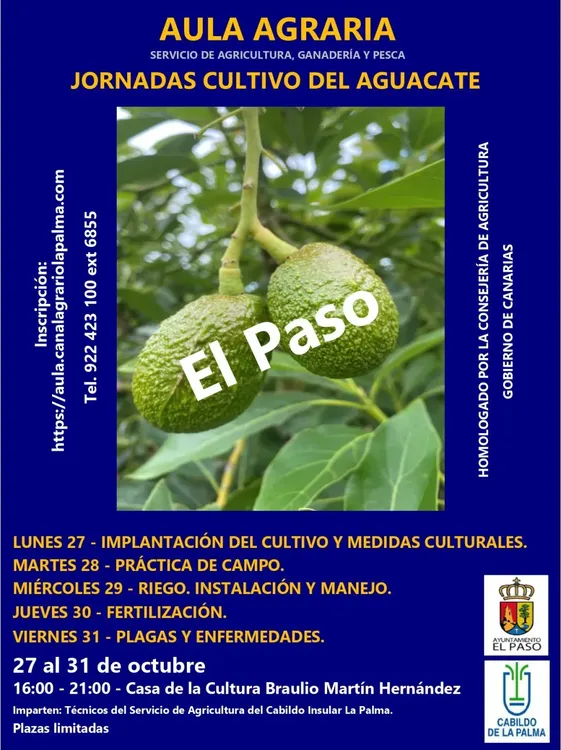 202510_AguacateLaPalma