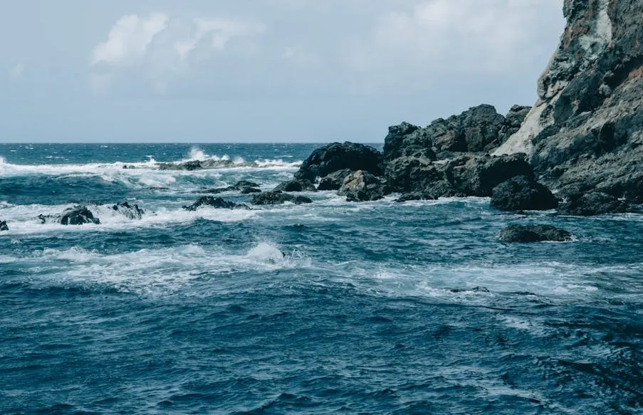 pexels-liisbet-luup-121486327-33963774