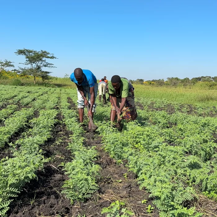 resilencia-climatica-en-Africa