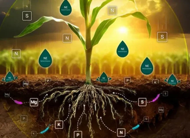 Captura desde 2025-11-20 19-09-26