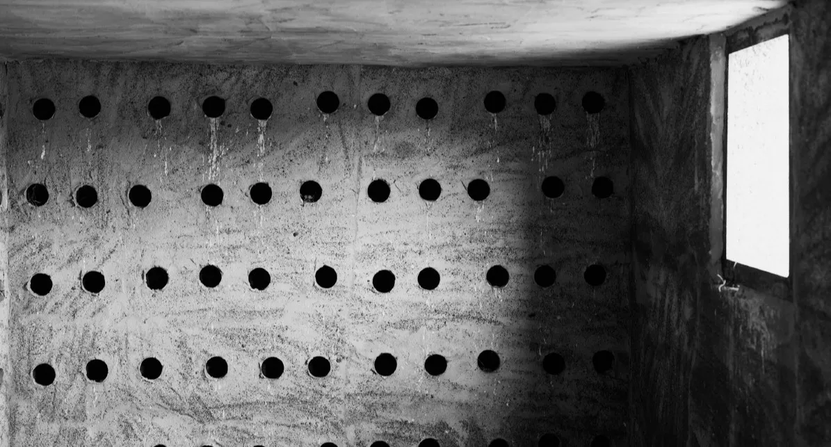 20251020_FelicidadTerrerna