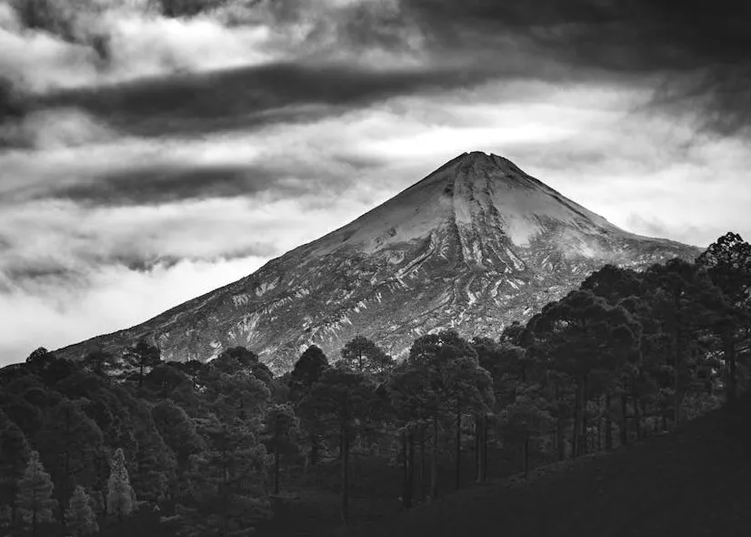 pexels-marek-piwnicki-3907296-6898445