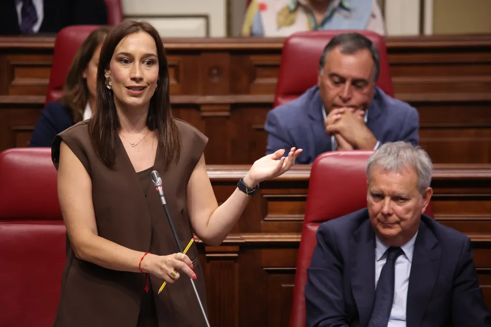 FIERRO PREGUNTA EJECUCIÓN PRESUPUESTARIA