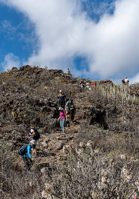 Captura desde 2025-11-02 19-45-54