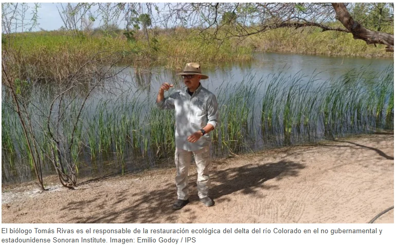 Captura de pantalla 2026-03-12 130818