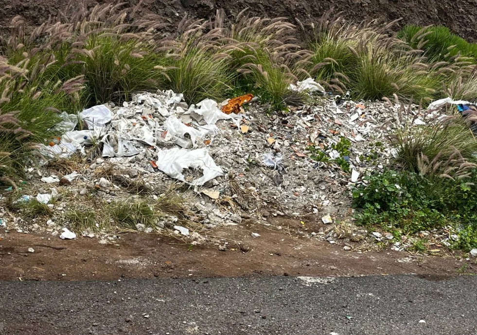 Captura de pantalla 2026-03-31 115005