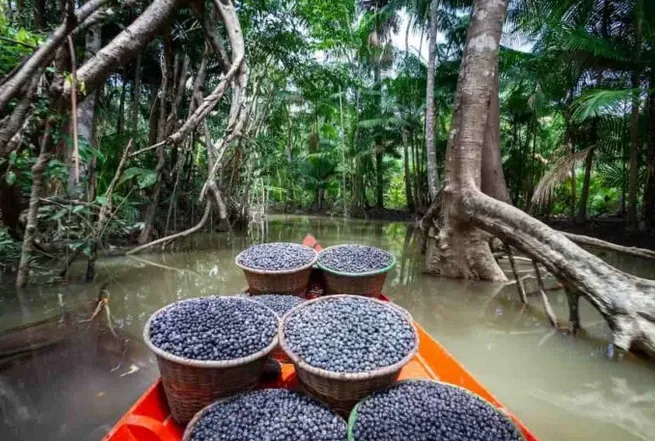 Captura desde 2025-12-18 23-48-39