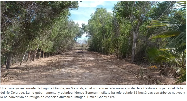 Captura de pantalla 2026-03-12 130636