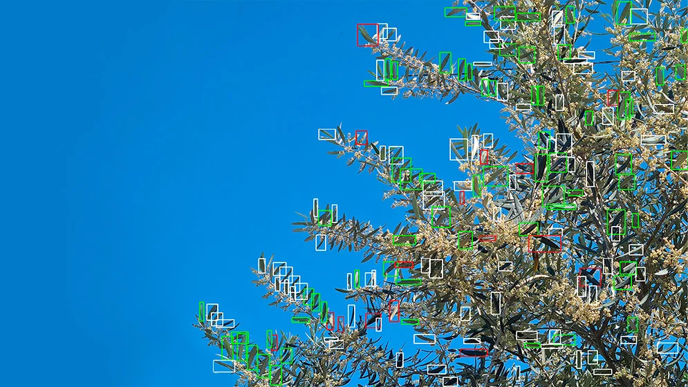 ROBOT_ARBOL_1