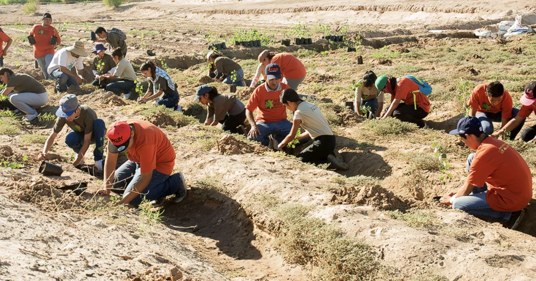 Captura de pantalla 2026-03-12 130244