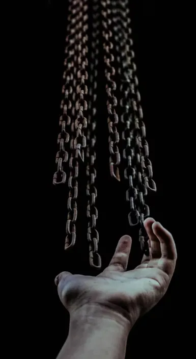 Captura de pantalla 2026-01-29 081751